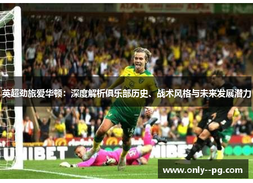 英超劲旅爱华顿：深度解析俱乐部历史、战术风格与未来发展潜力