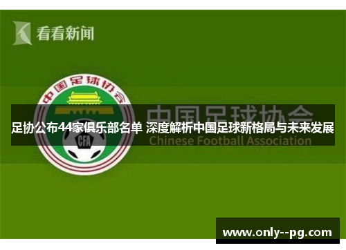 足协公布44家俱乐部名单 深度解析中国足球新格局与未来发展
