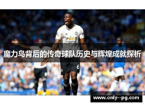 魔力鸟背后的传奇球队历史与辉煌成就探析